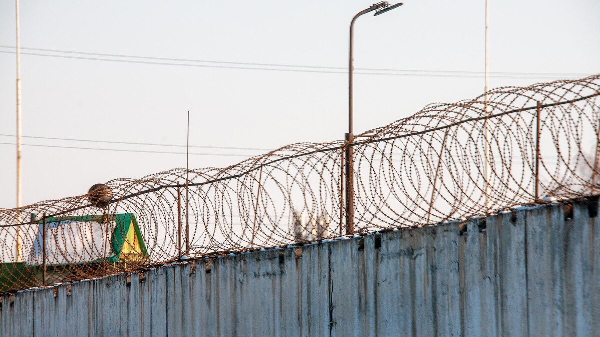    Фото: Svetlana Vozmilova/Global Look Press