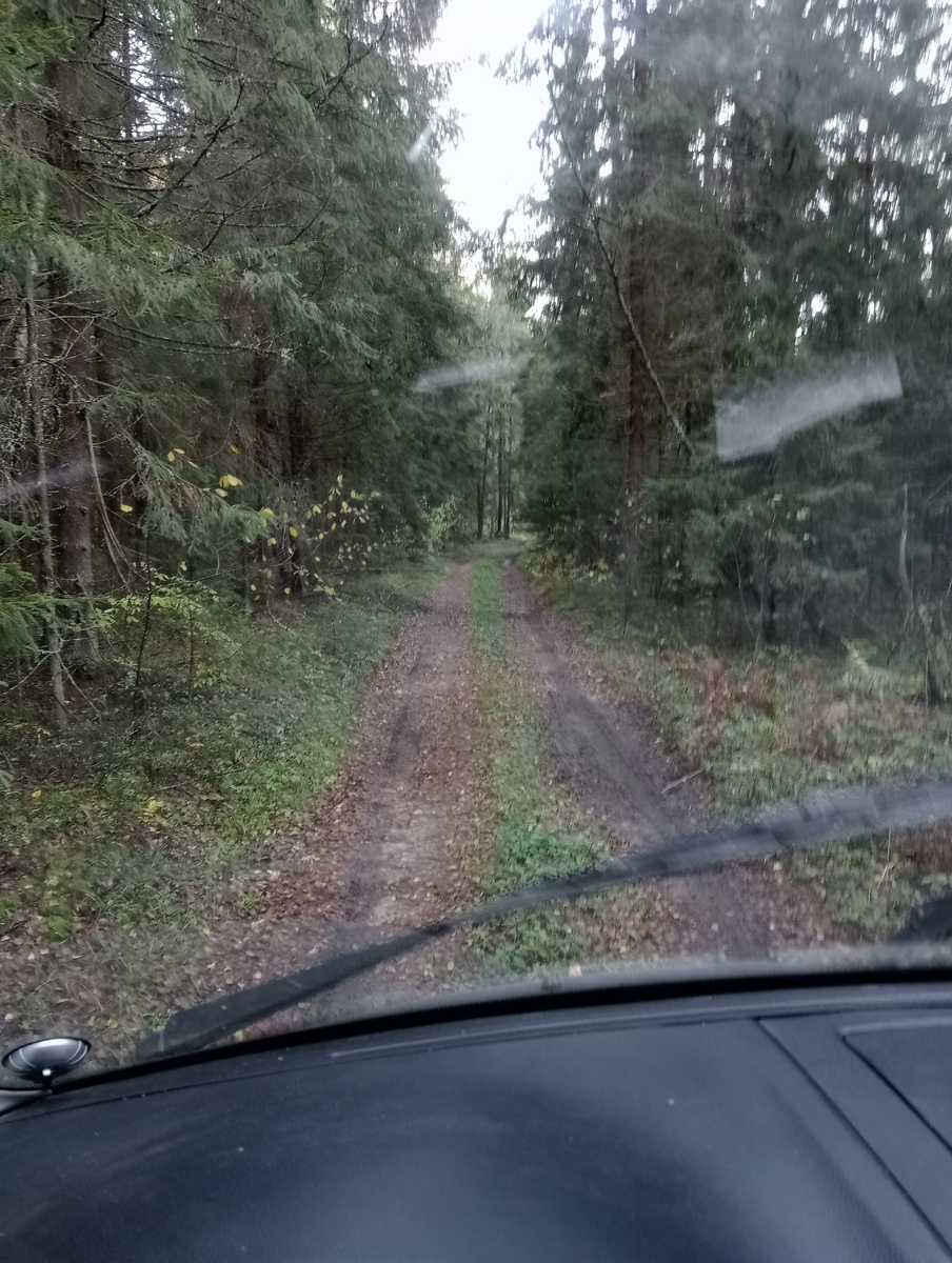 Дороги, которые мы выбираем.