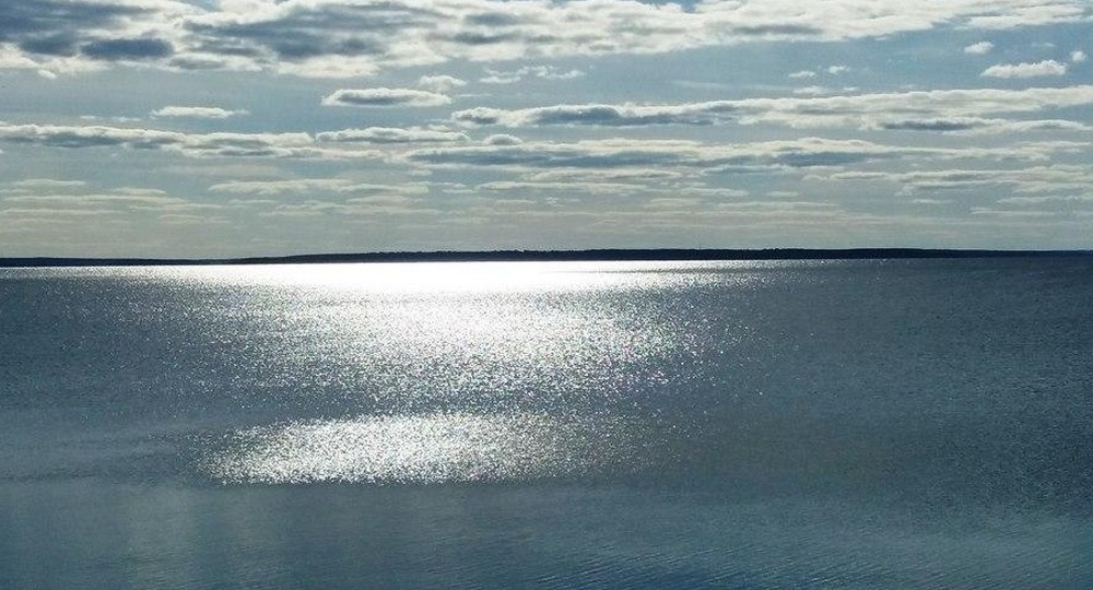 Дайверы рассказали об удивительных находках на дне озер Нижегородской области