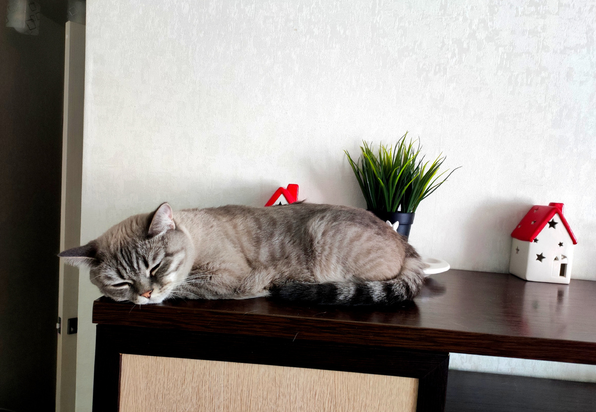 Фото автора 