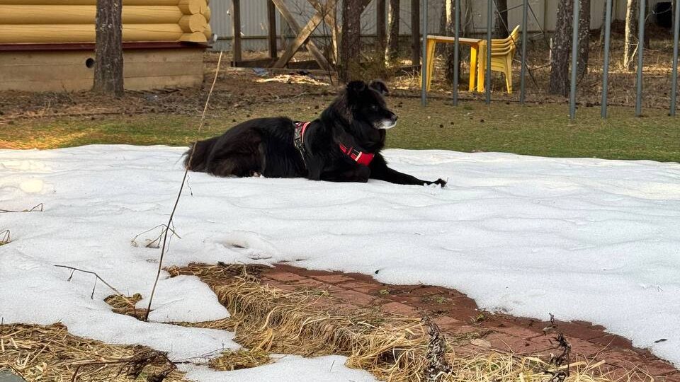 👋 Привет из дома