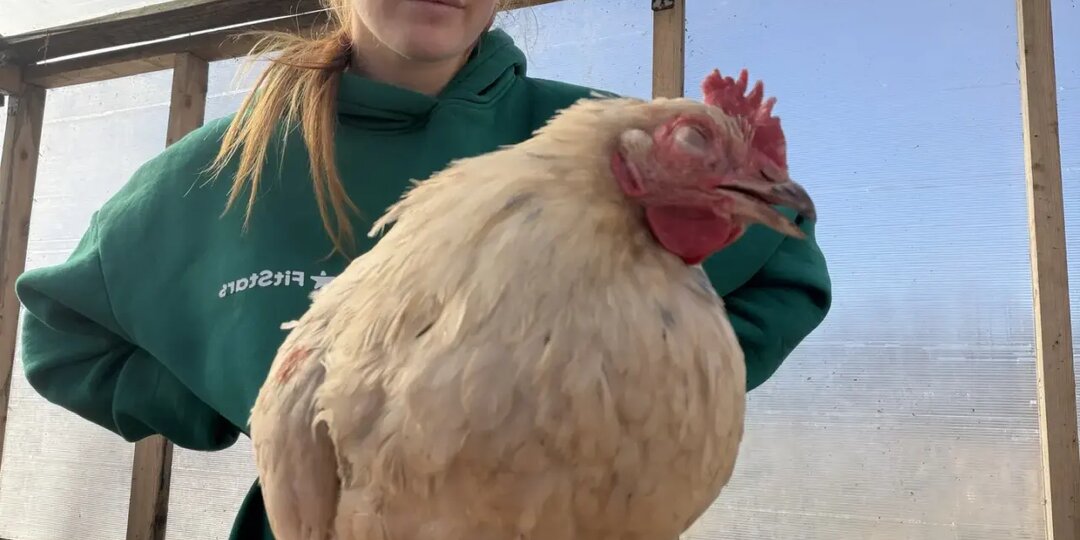 Я в шоке! Ожидала что угодно, но только не это....