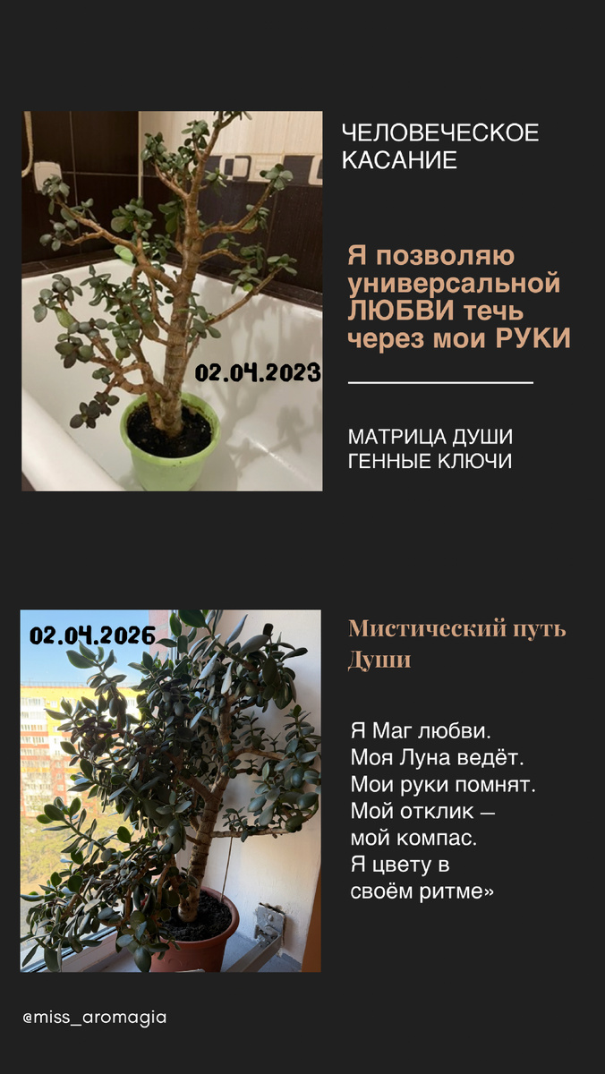 Метод «Человеческое касание»