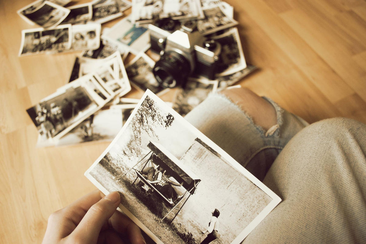 Источник ravechart.org