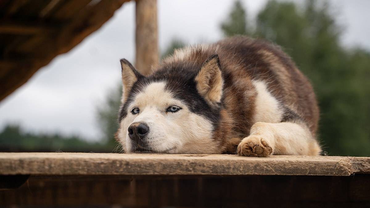    Фото: Анна Темнышова / Вечерняя Москва