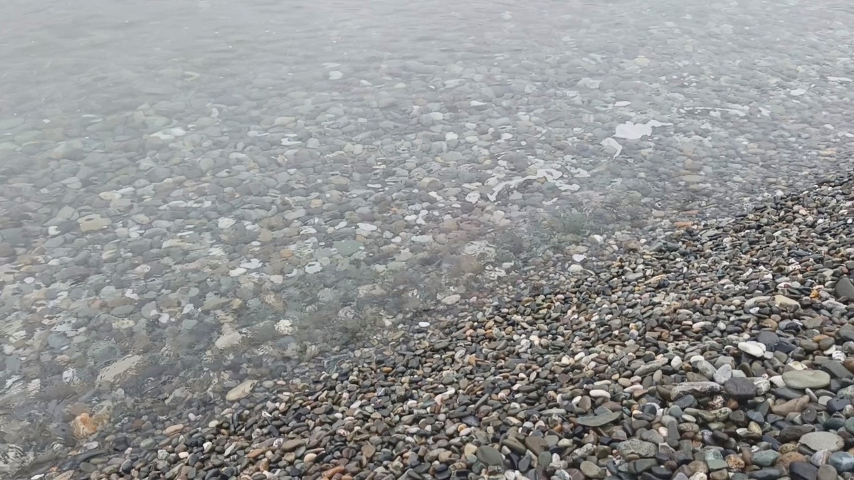 ФТ Сириус, пляж "Гамма Сириус", апрель 2026 года