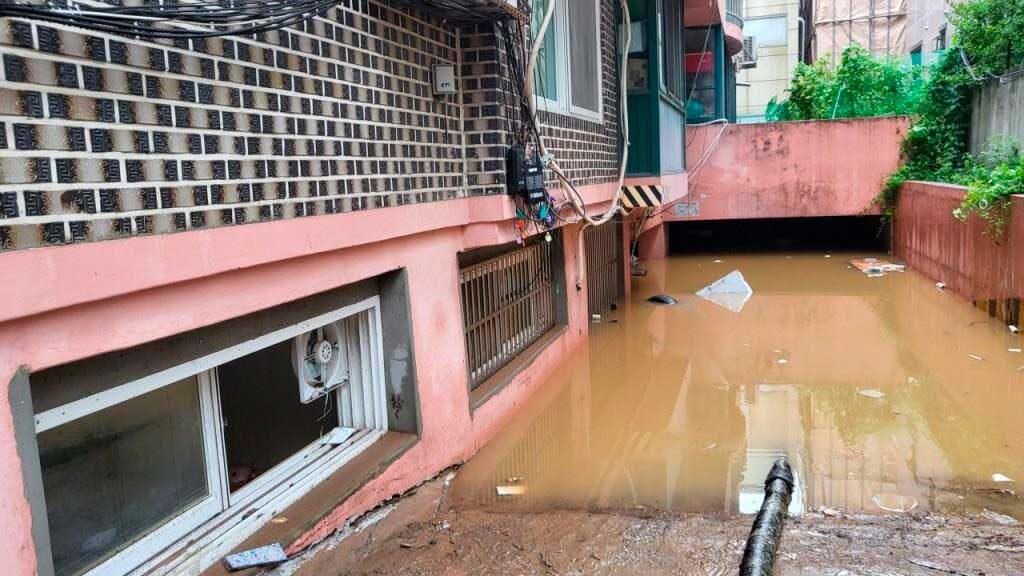 Окно подвального жилья на уровне тротуара — сырость, решётки. Контраст между уличной жизнью наверху и жизнью внизу.