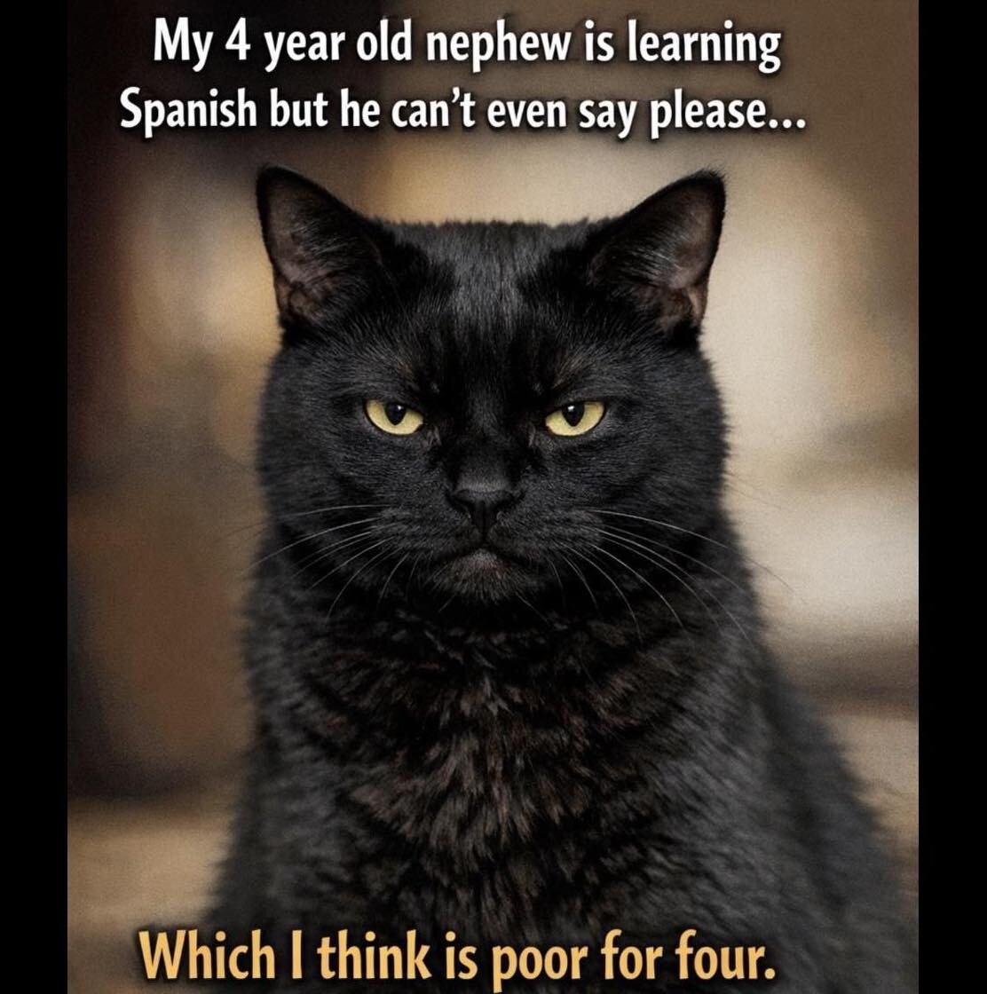 "Мой четырехлетний племянник учит испанский. Но он даже не может сказать "пожалуйста". Я думаю, это недостаточно для четырех лет"