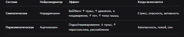 Рис. 1