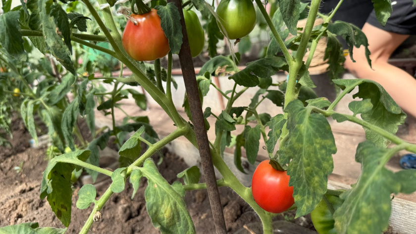    Фото: ПроГород