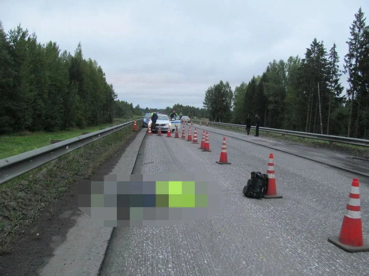     фото прокуратура ЯО