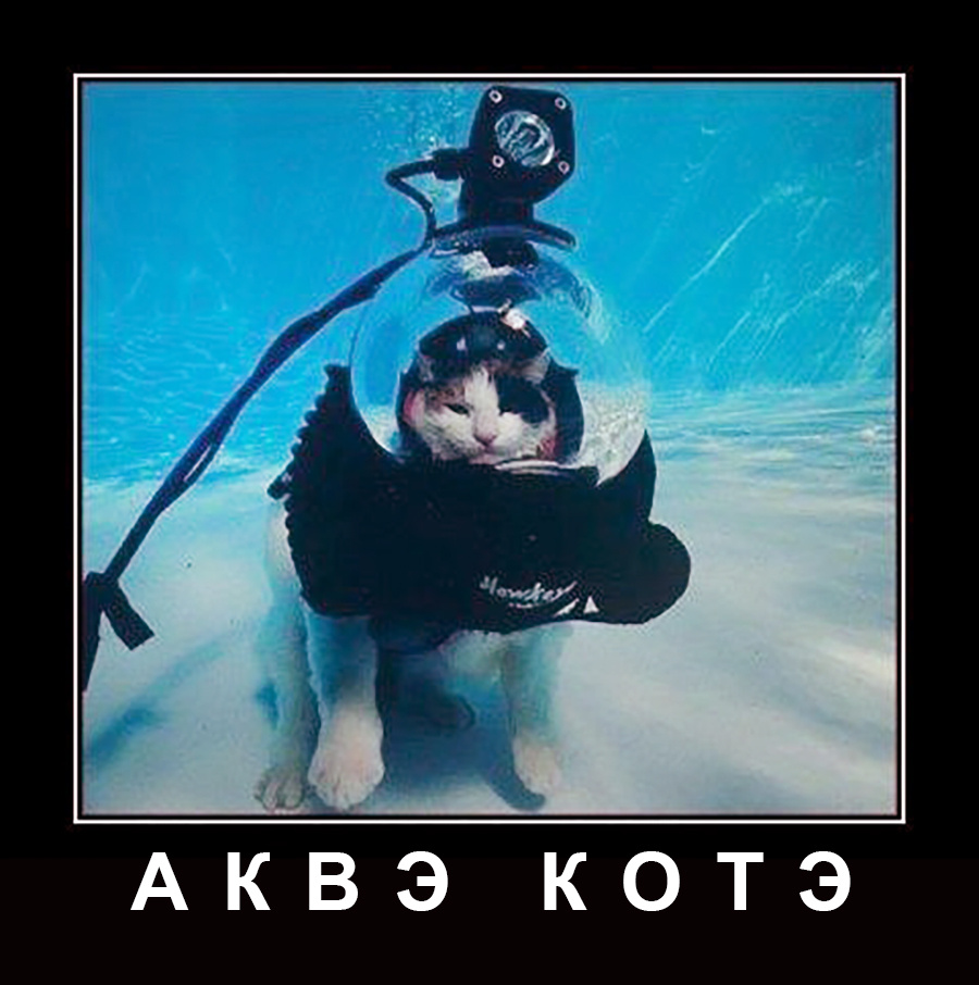 Аквэкотэ