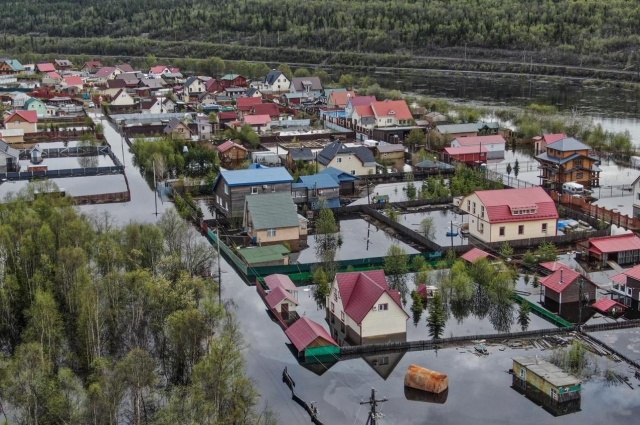    Фото: АиФ на Мурмане/ Алексей Мкртчян