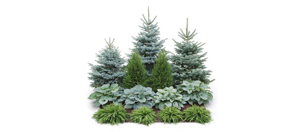 Миксбордер можно найти на сайте gardenboard.ru