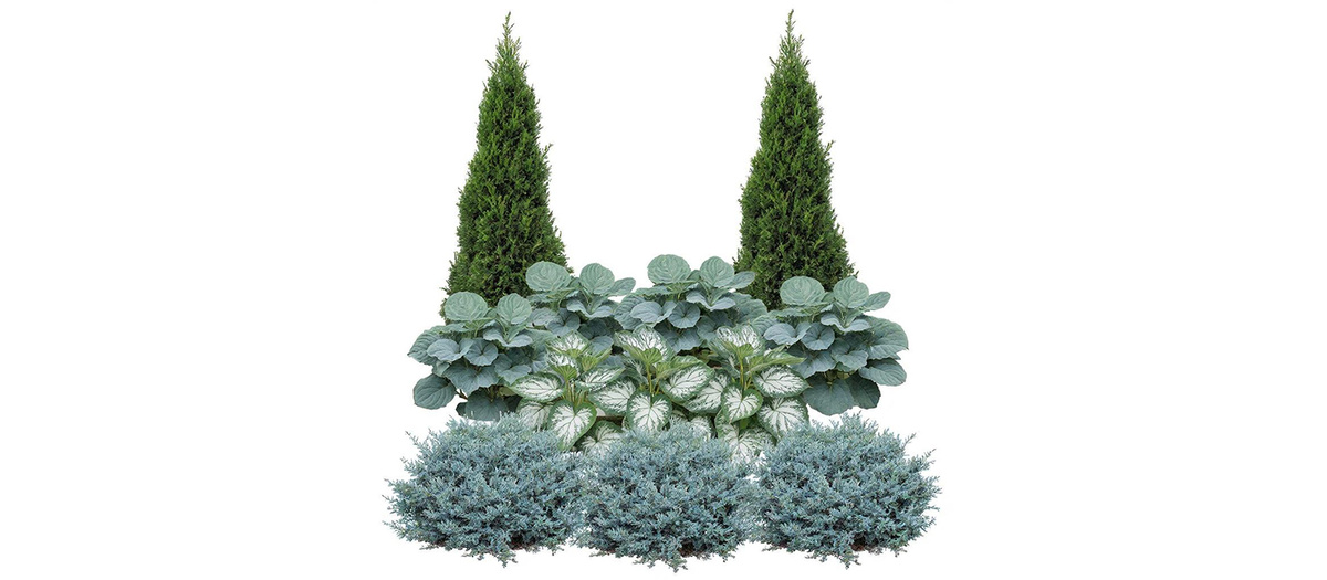Миксбордер можно найти на сайте gardenboard.ru