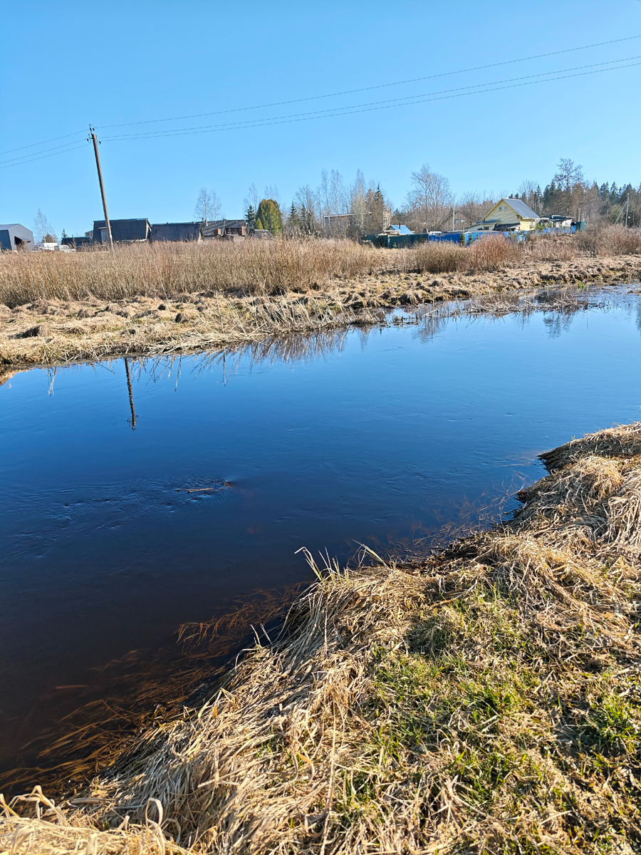 Фото вчерашнее
