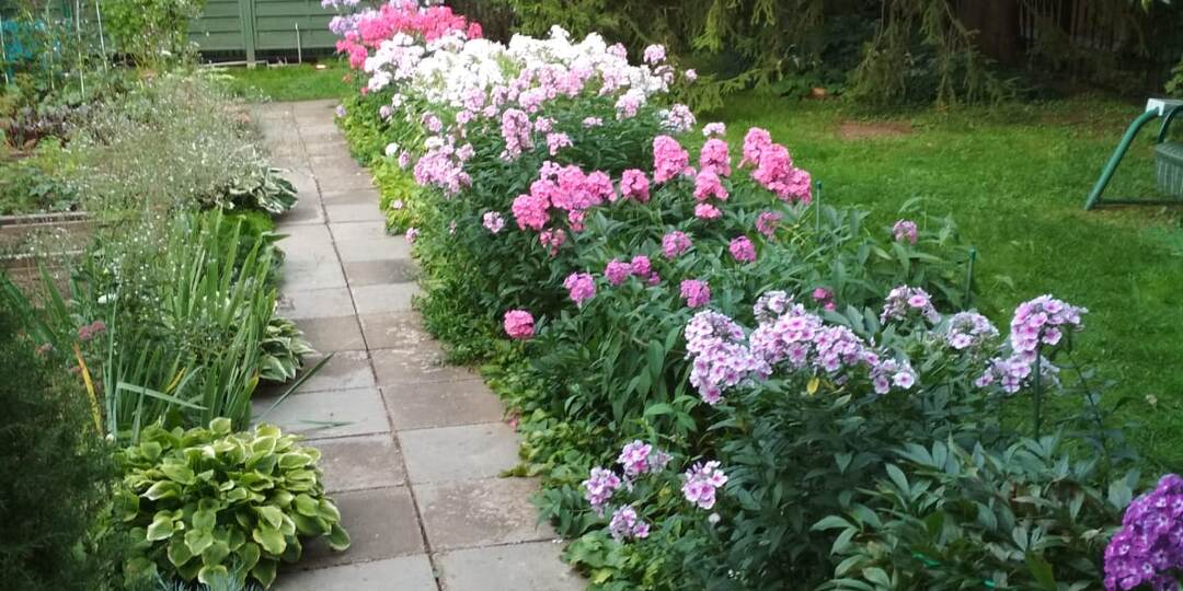 Все мы немножко коллекционеры...