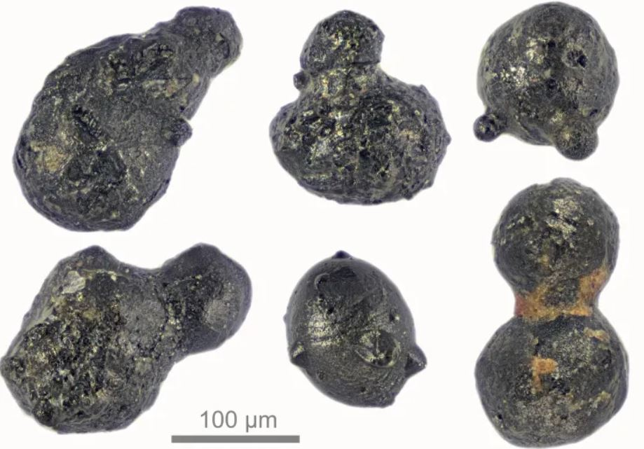 Частицы ударного происхождения, извлеченные из гор Сёр-Рондане в Антарктиде. Автор: Скотт Петерсон