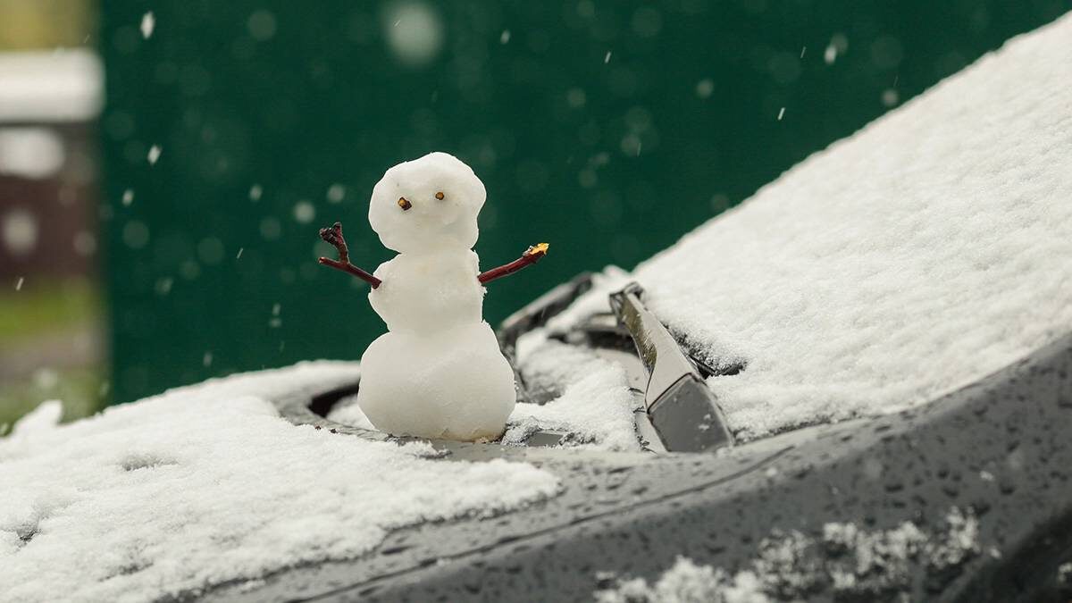    Фото: Василий Кузьмиченок / АГН Москва