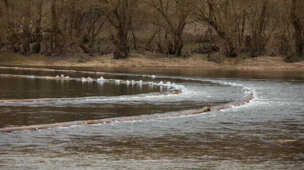    © Sputnik / Osmatesco