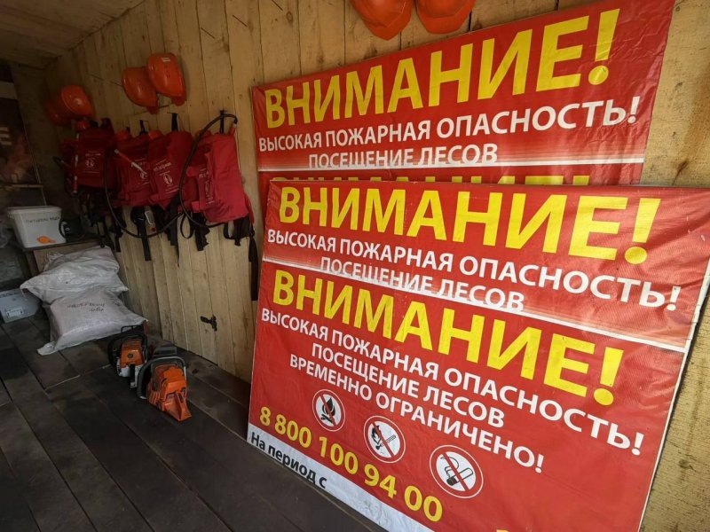     © фото - Министерство природных ресурсов Курской области