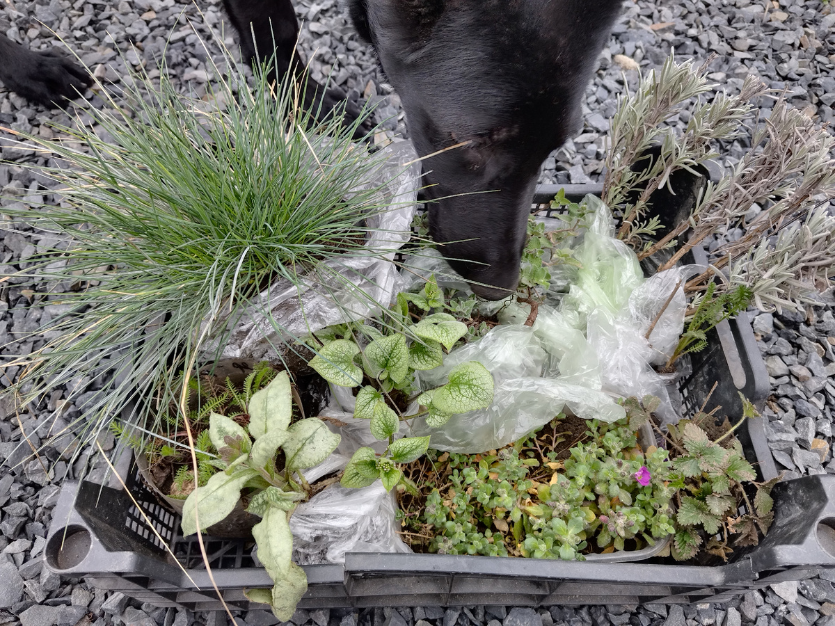 Ящик с обновками. Проверяет Скалли.