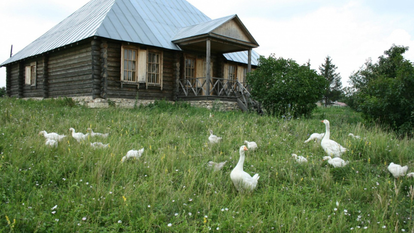    Официальный сайт Правительства Липецкой области