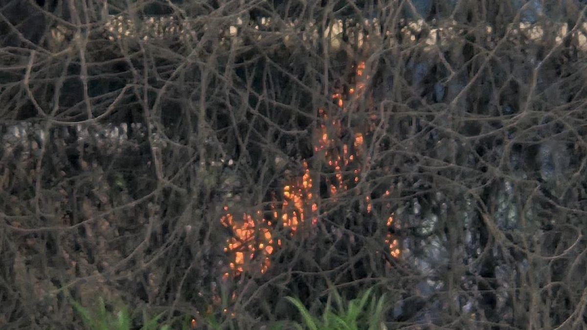    Фото: телеканал «Краснодар»