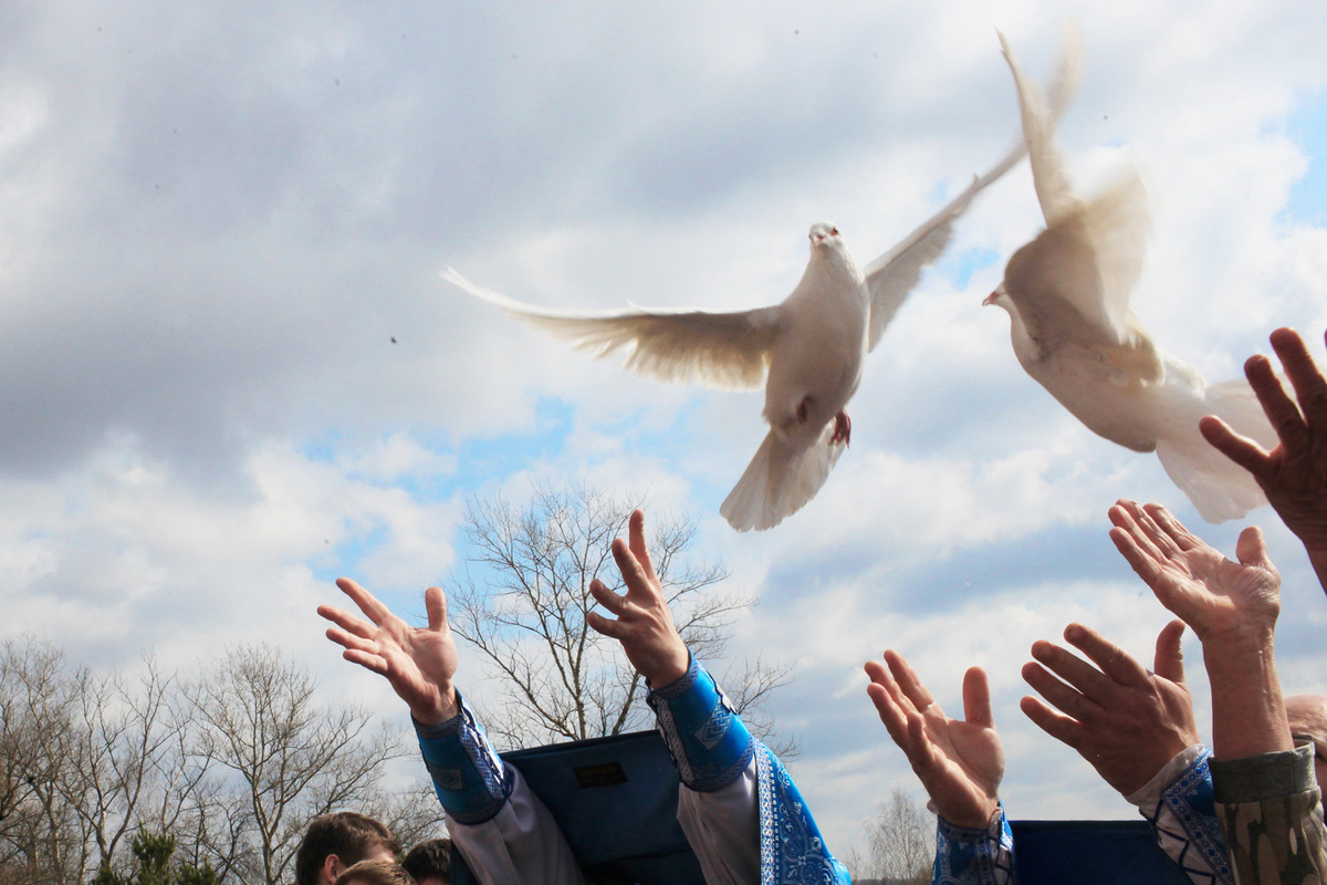 Яндекс Картинки