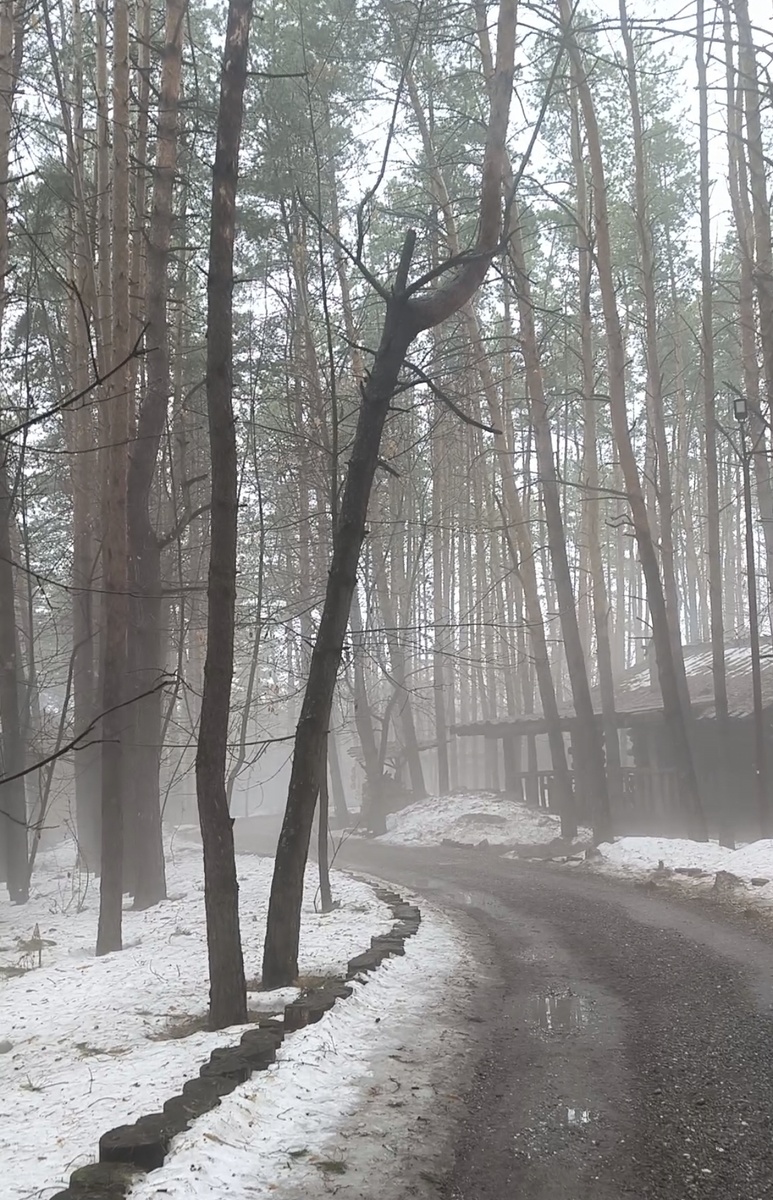 Фотографии в статье авторские