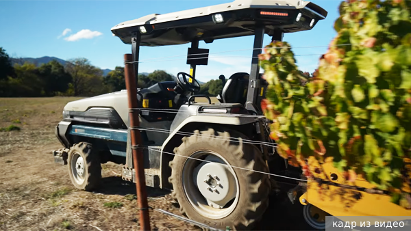     Фото: кадр из видео