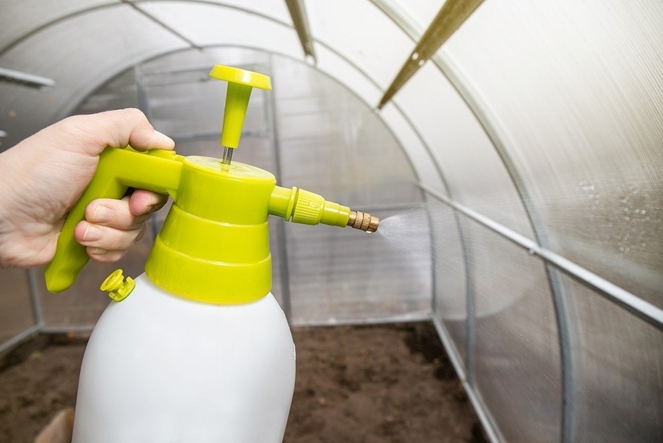 Обработка теплицы