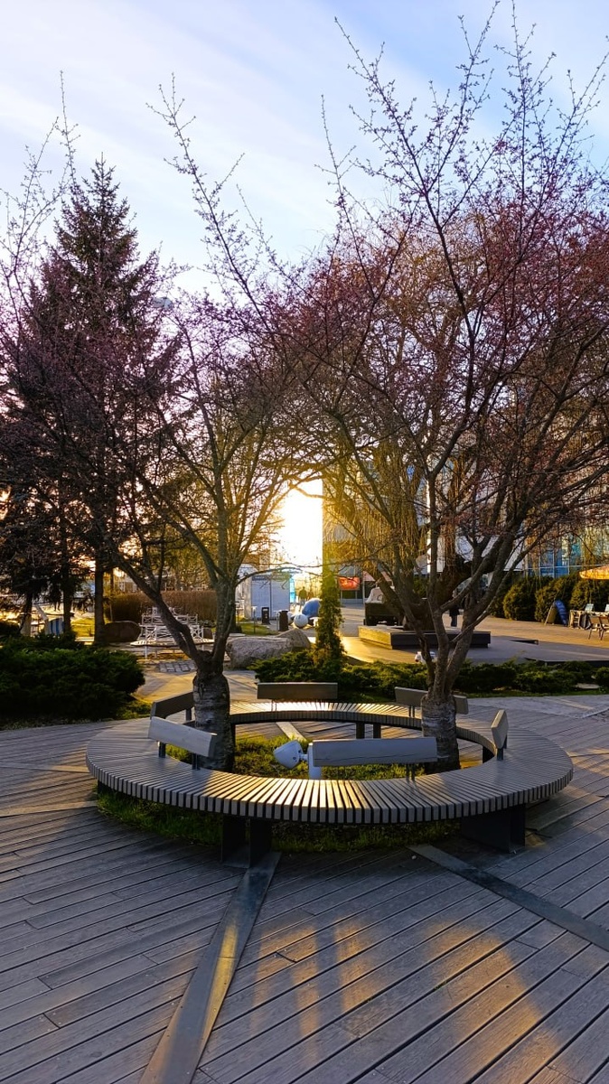 Фото Ласоцкий