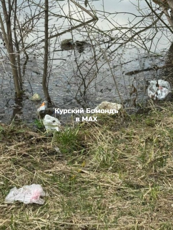     © фото - Курский БомондЪ