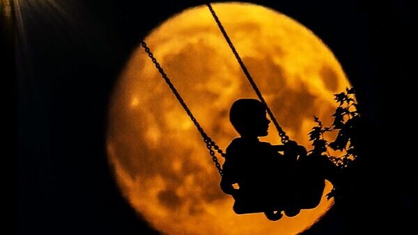    © РИА Новости . Владимир Астапкович