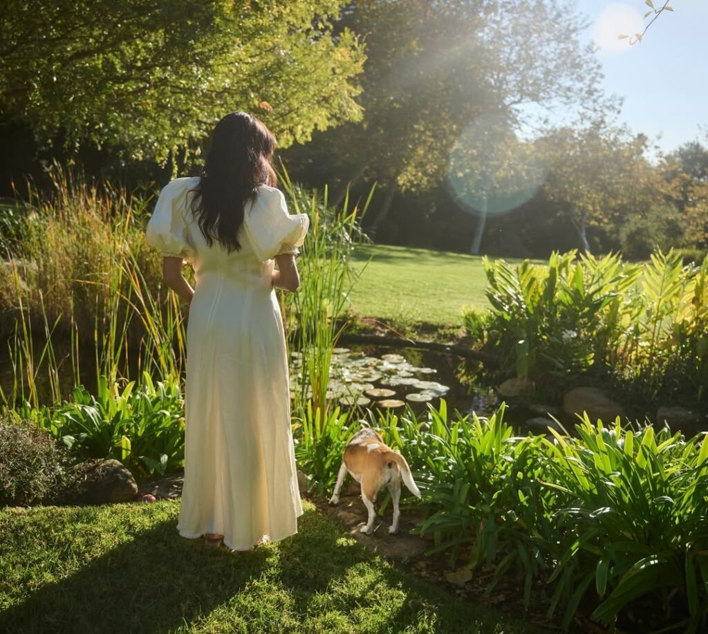 фото из яндекса