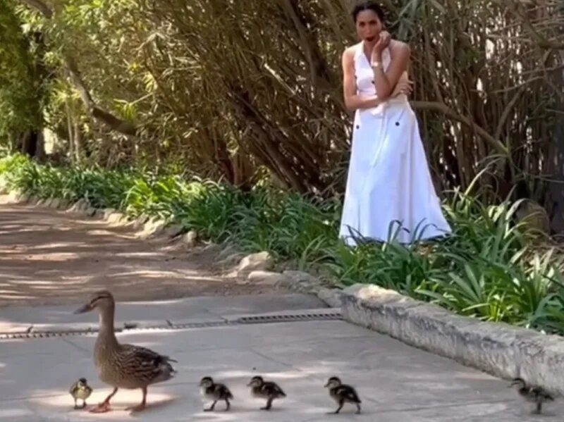 фото из яндекса