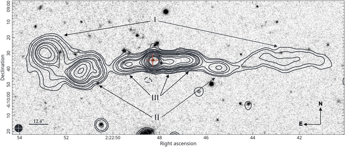 Радиоизображение TDRG J022248−060934, демонстрирующее морфологию, а также положение родительской галактики, обозначенное крестом. Источник: Monthly Notices of the Royal Astronomical Society (2026). DOI: 10.1093/mnras/stag378  📷
