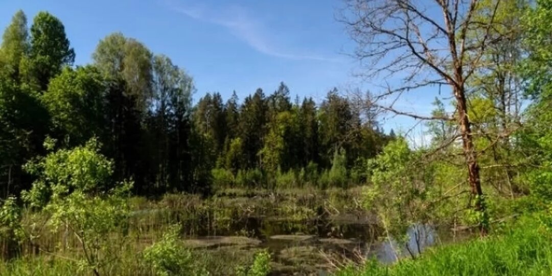 Виштынецкий парк перешел на онлайн-оплату посещения