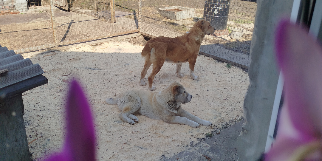 Все чудесатей и чудесатей. Обо всех понемногу.