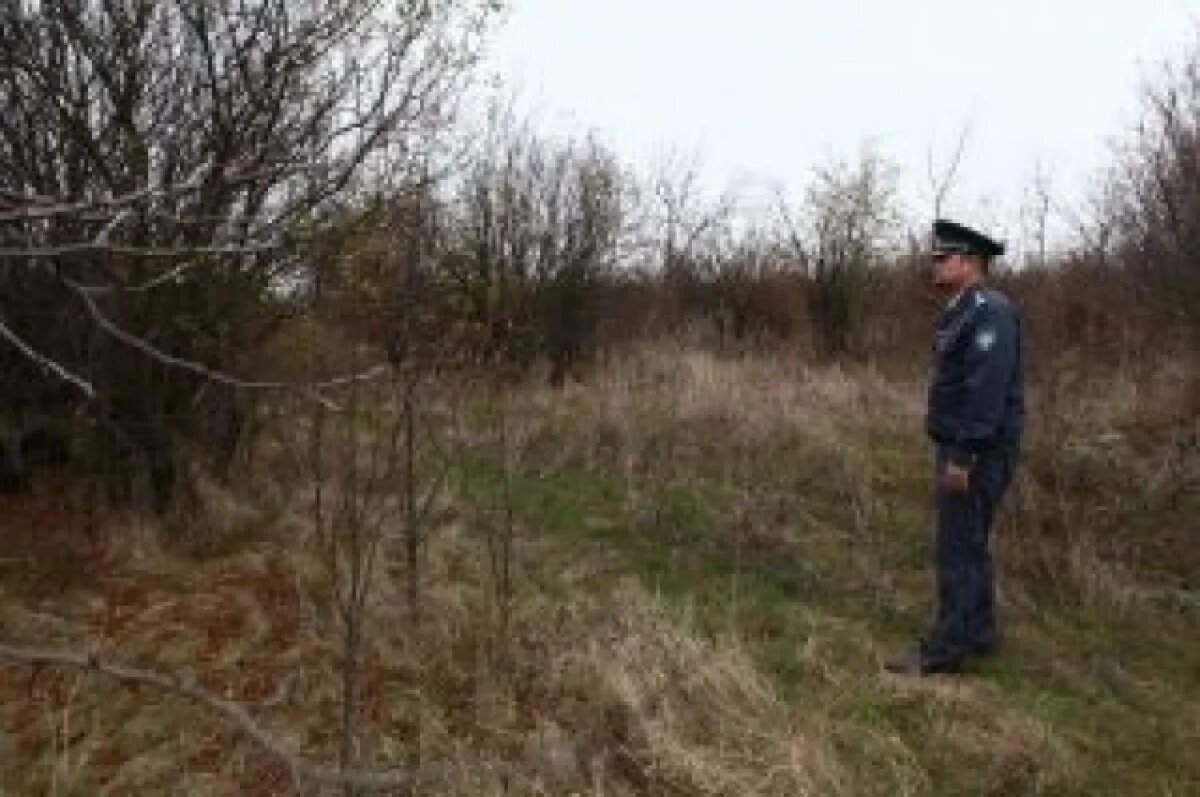    Еще больше 40 га сельхозземли с сорняками нашли под Волгоградом