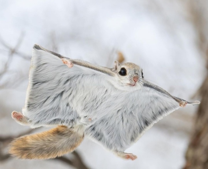 Фото из интернета