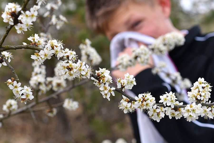    © SVEN SIMON/ТАСС