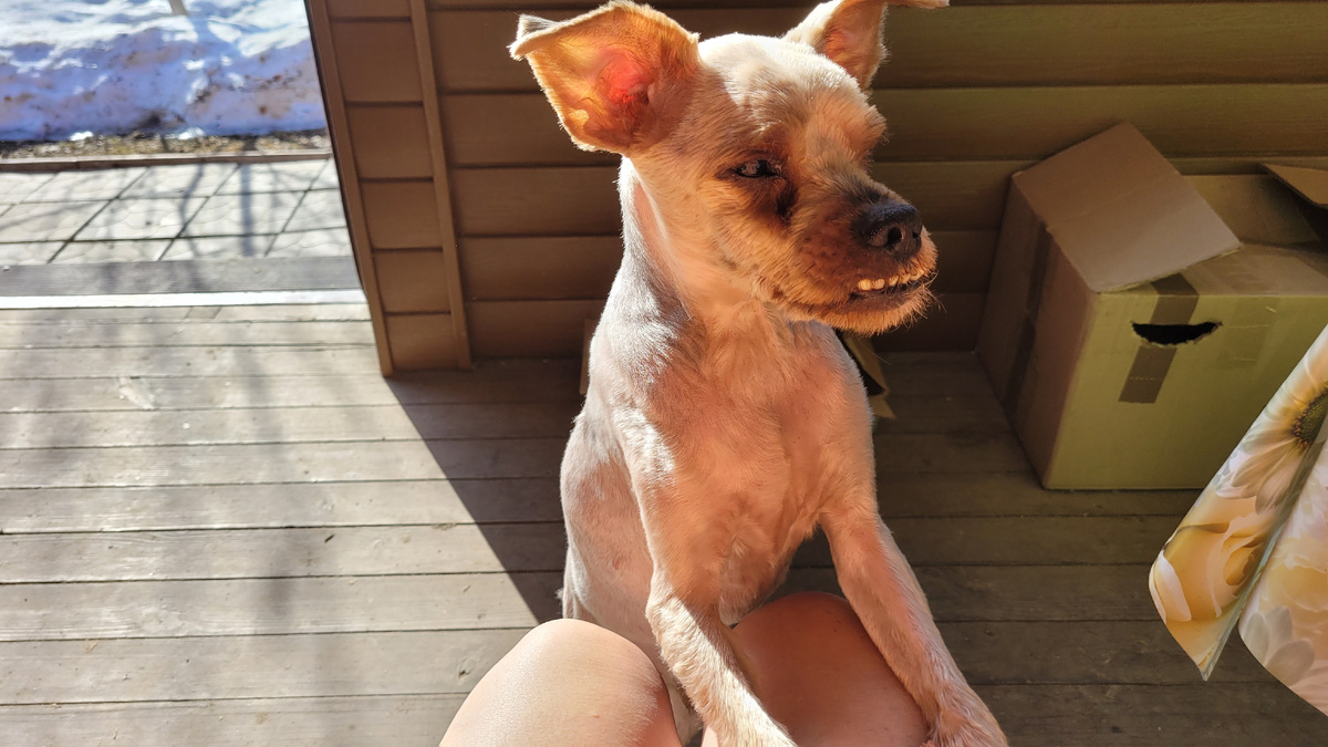 Марсель собственной персоной.