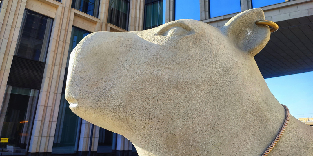 Капипара Т-банка сидит на улице Грузинский вал