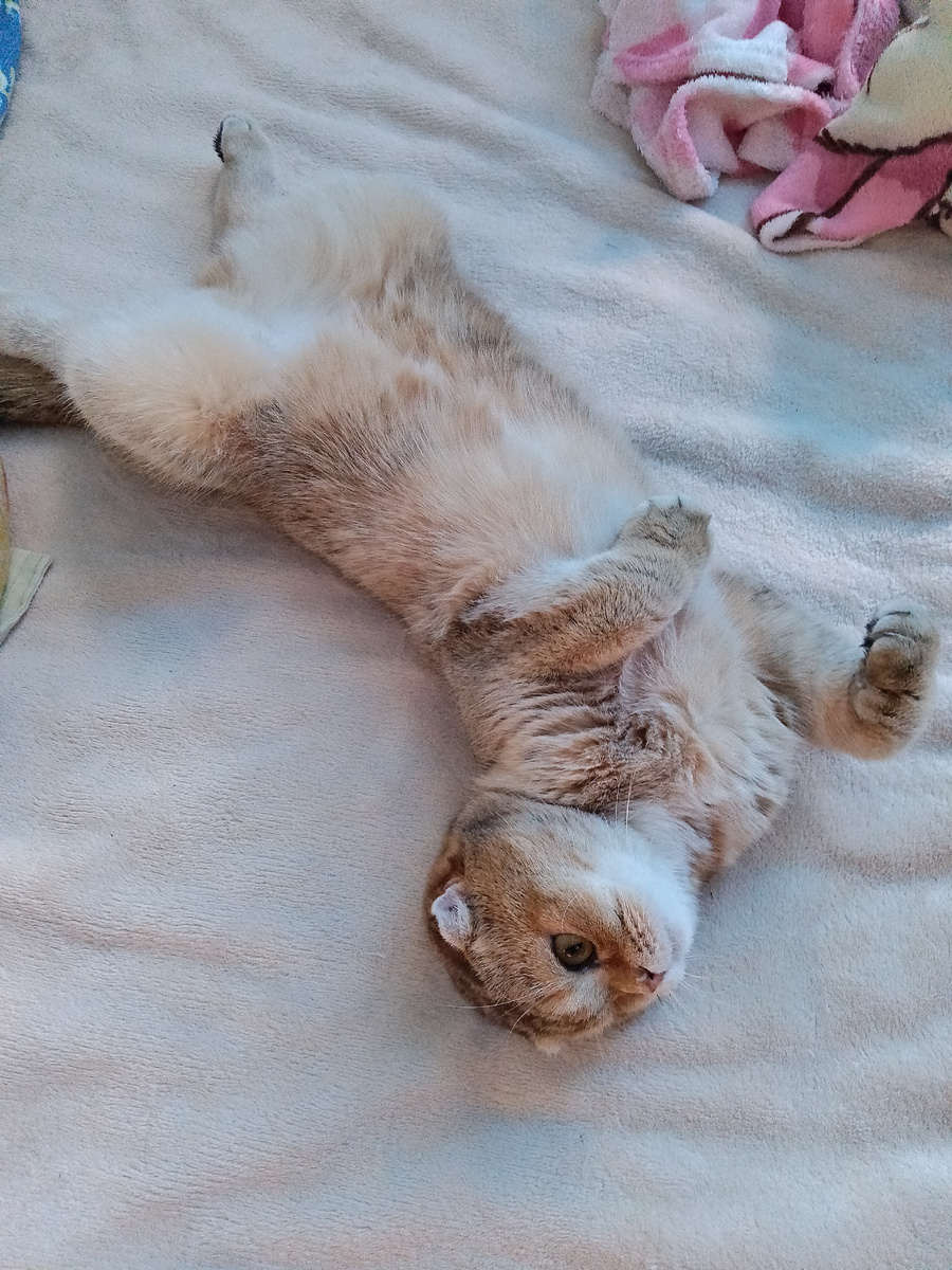 Ладно, Наташа, кто старое помянет, тому глаз вон. Ой, что-то не то сказала... Я надеюсь, Наташа, ты сделала правильные выводы и мы сможем жить мирно... А вообще, я тебя тоже очень люблю. Мяу! 