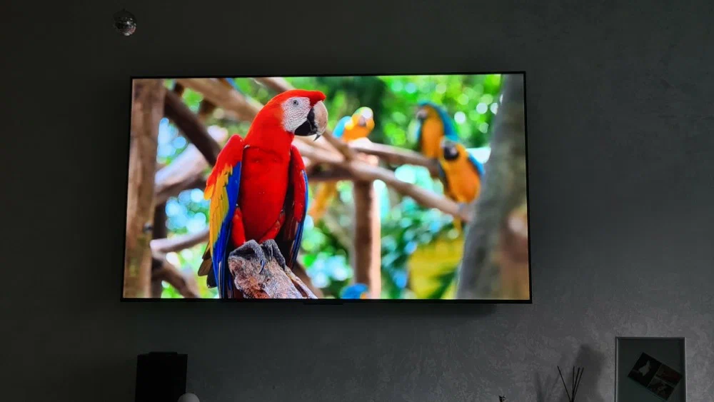 TCL T6C с QLED 4K: почему эту модель купили уже 12 900 человек?
  