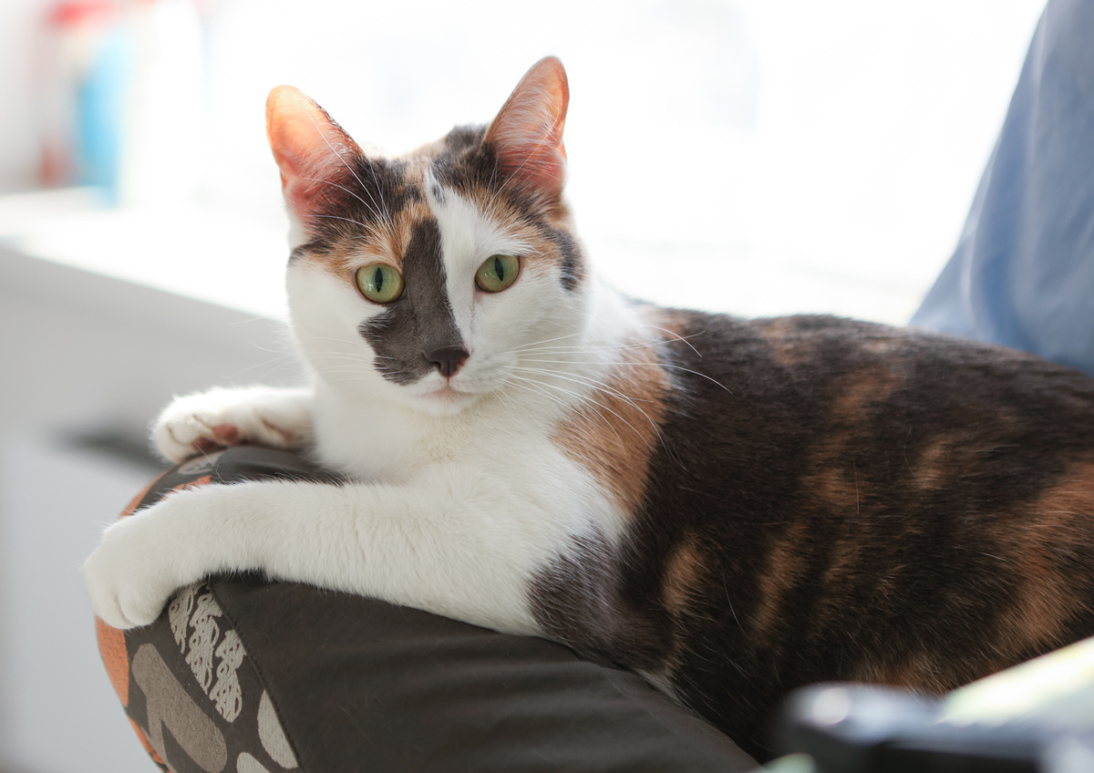 Делюсь тоже красотой, мне не жалко!