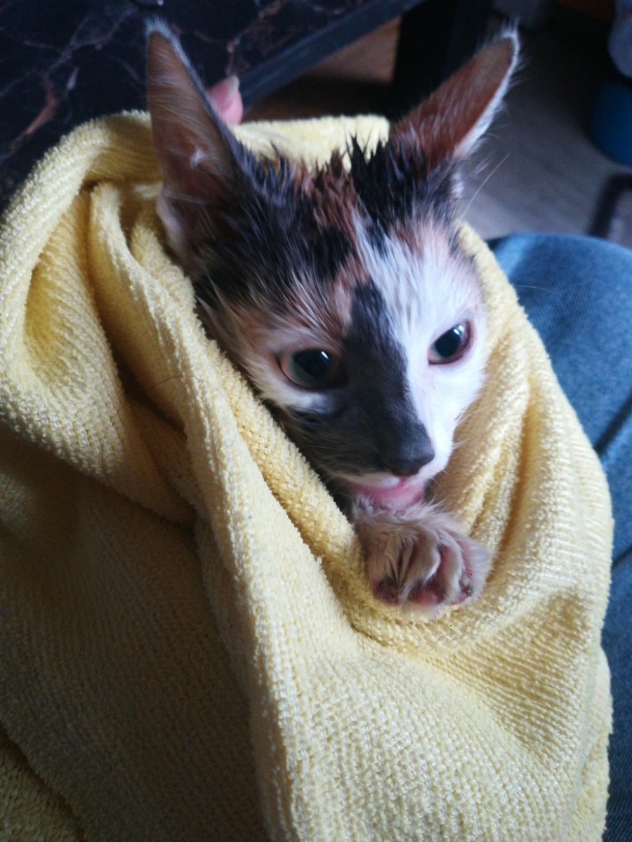 Это я??? Нееет, это не я!