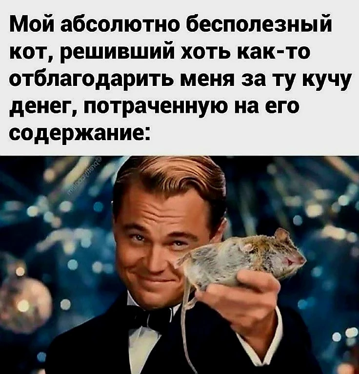 Источник фото найден на просторах Интернета в открытом доступе